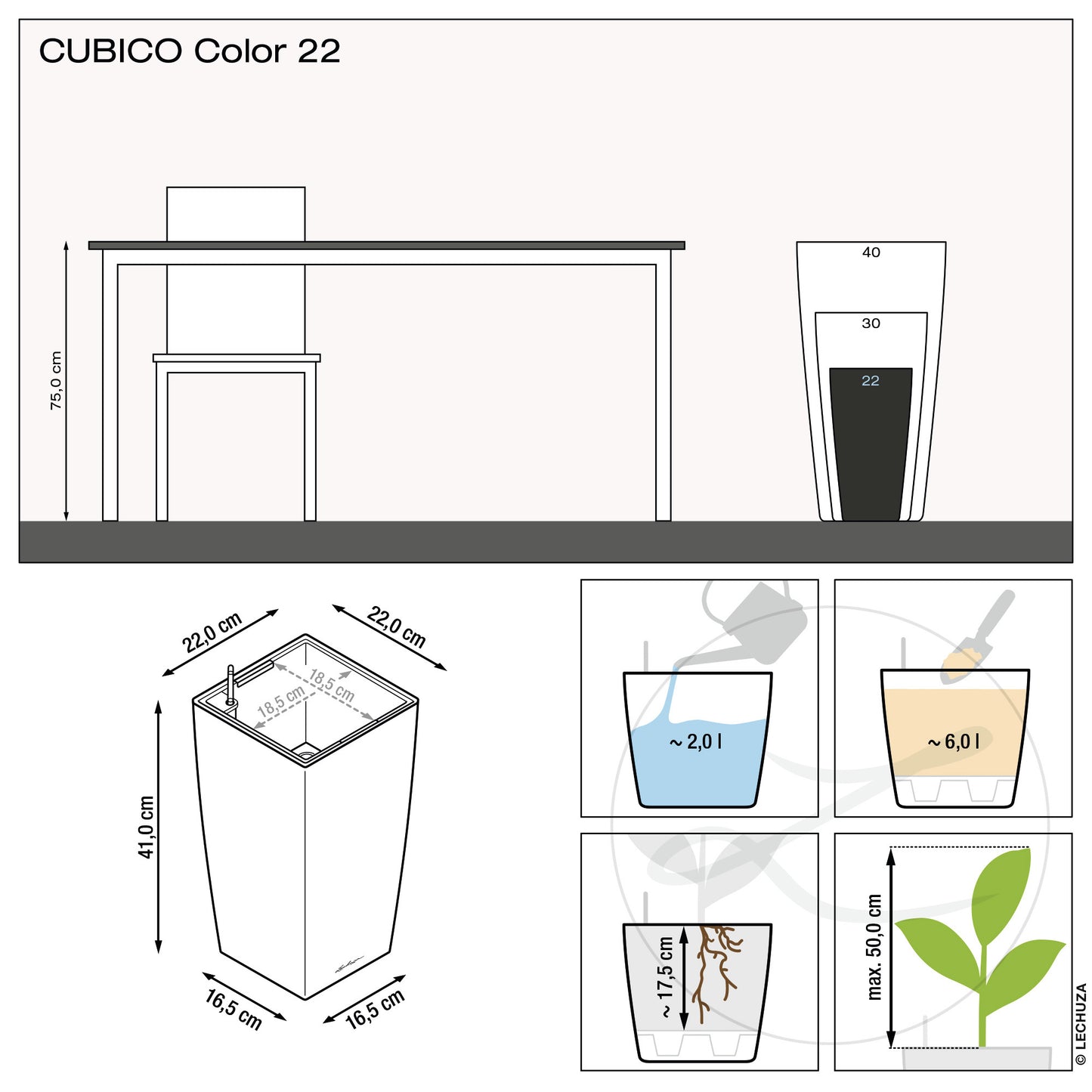 CUBICO Color 22