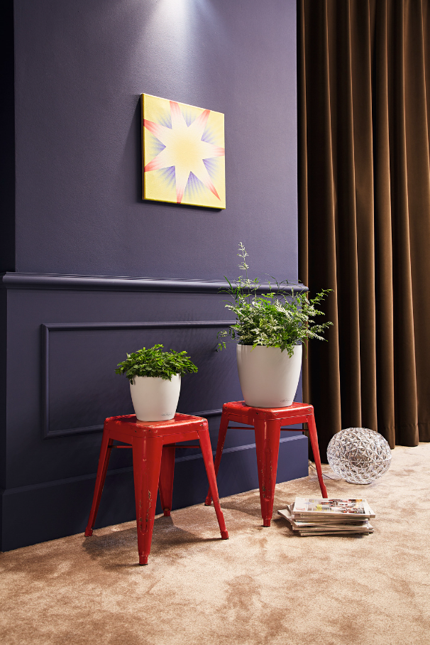 CLASSICO Color 21