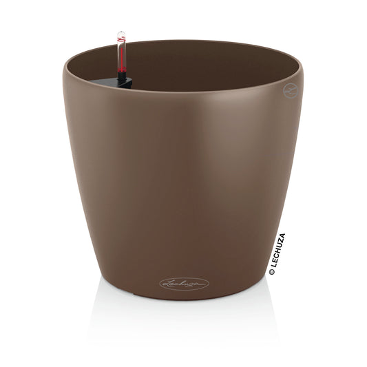 CLASSICO Color 21