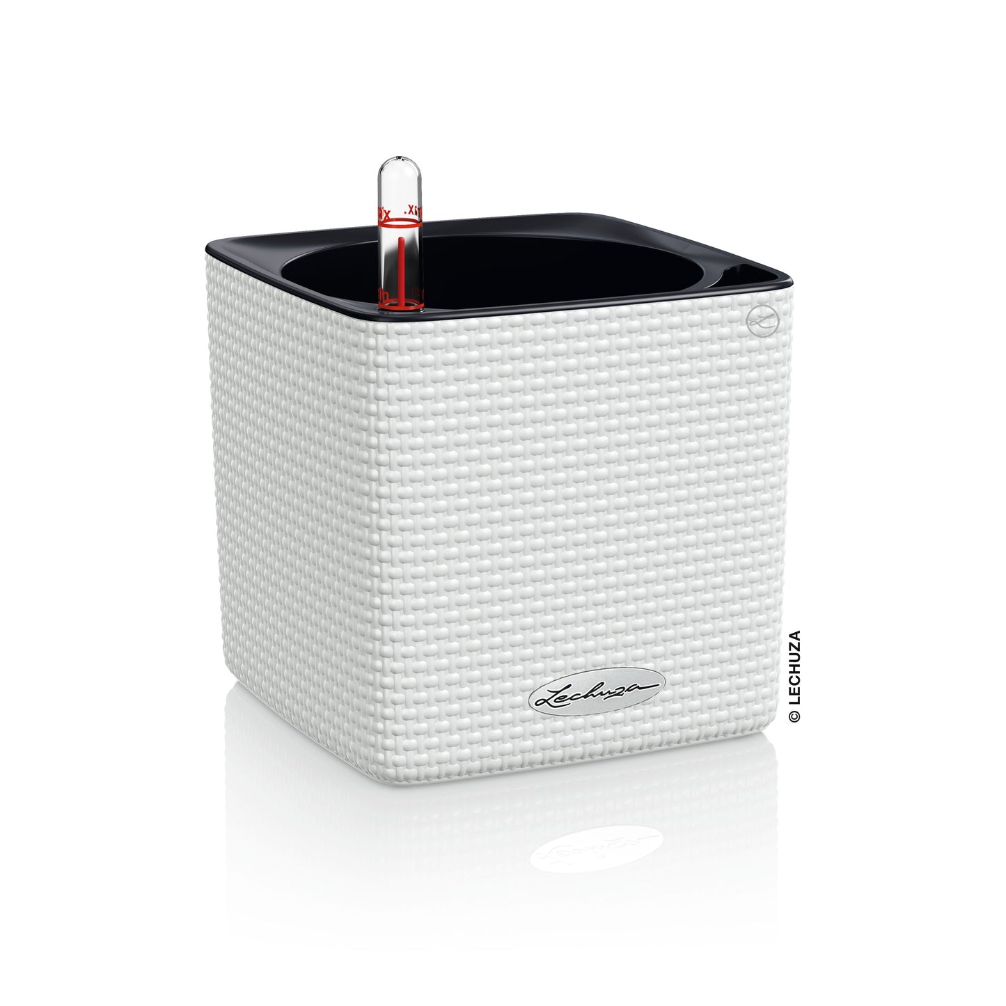 CUBE Color 16