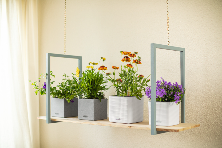 CUBE Color 16