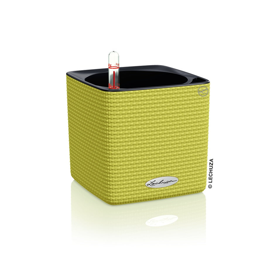 CUBE Color 16