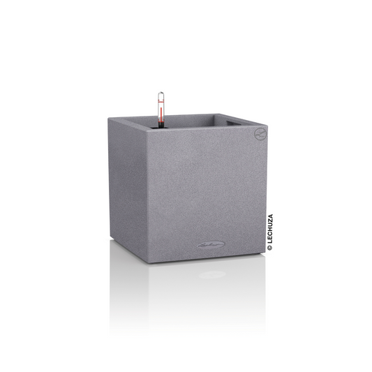 CANTO Stone 40 low