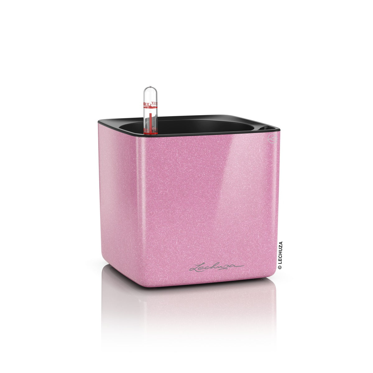 CUBE Glossy Kiss