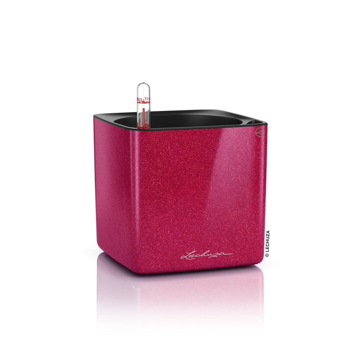 CUBE Glossy Kiss