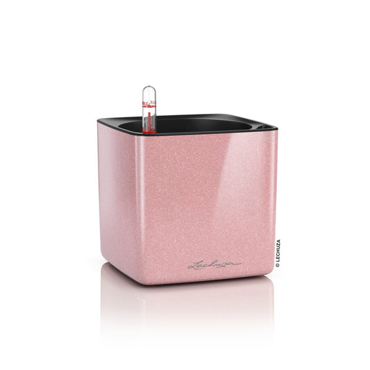 CUBE Glossy Kiss