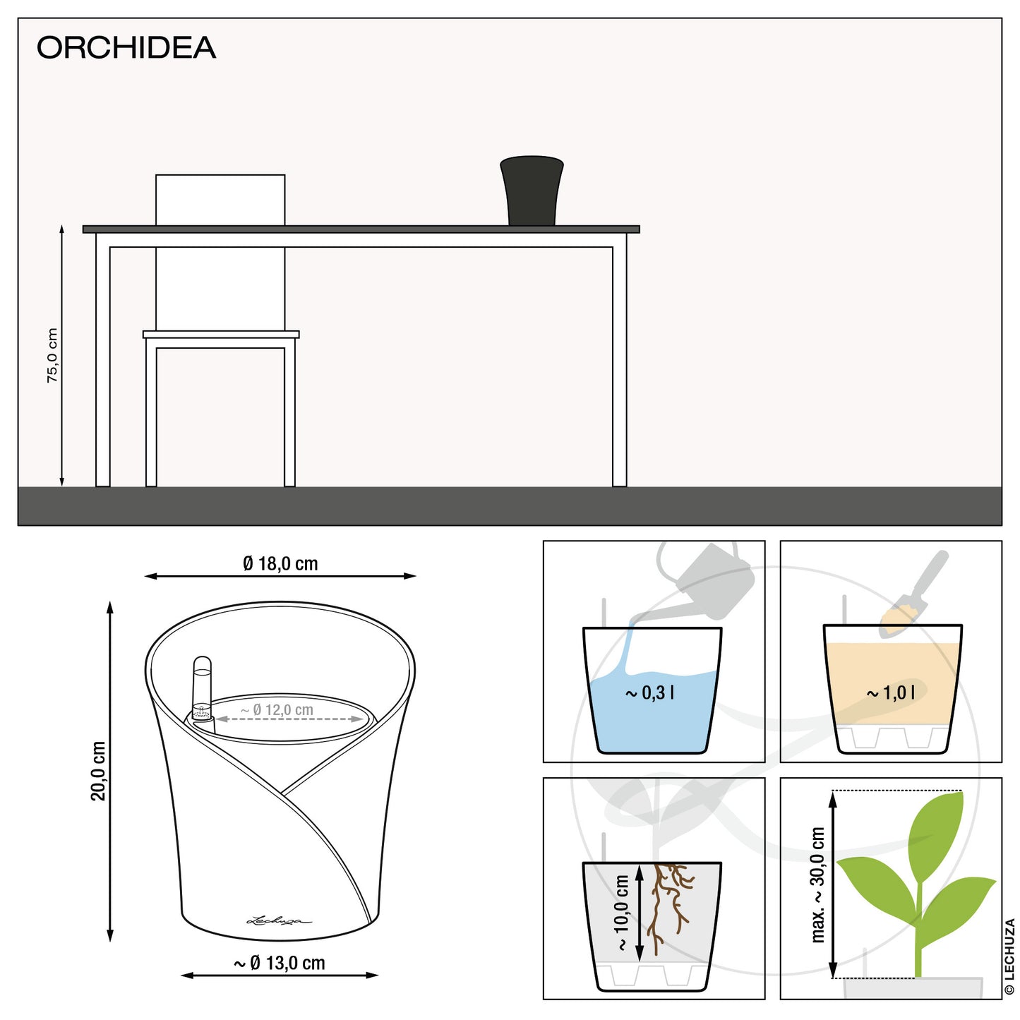 ORCHIDEA