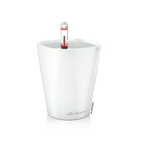 MINI DELTINI