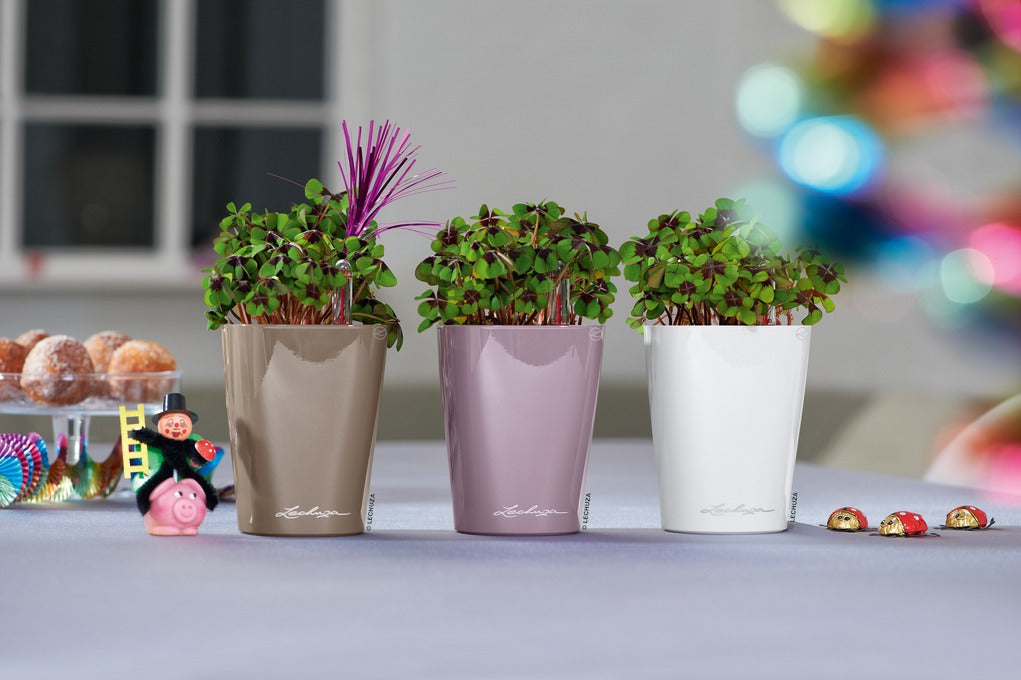 MINI DELTINI