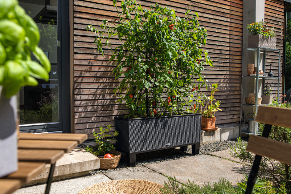 TRIO Cottage 40
