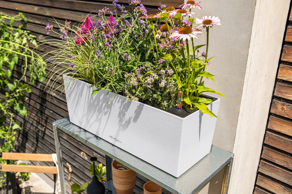 BALCONERA Stone 50