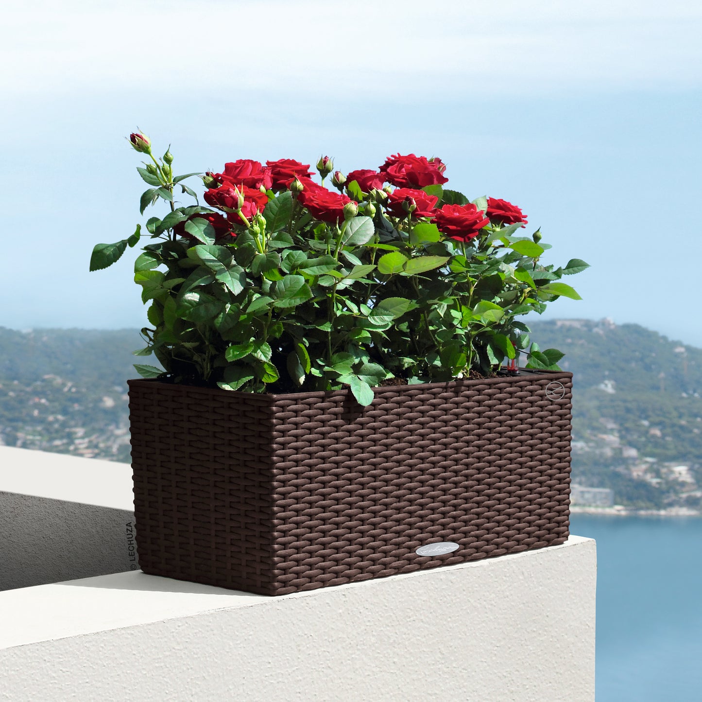 BALCONERA Cottage 50