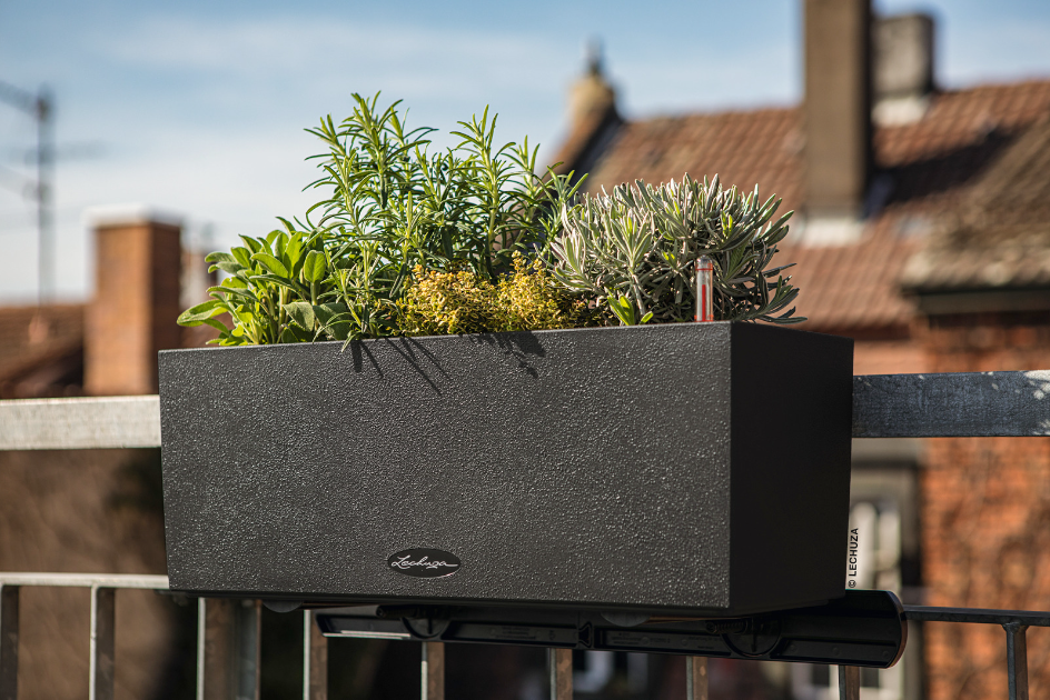 BALCONERA Stone 50