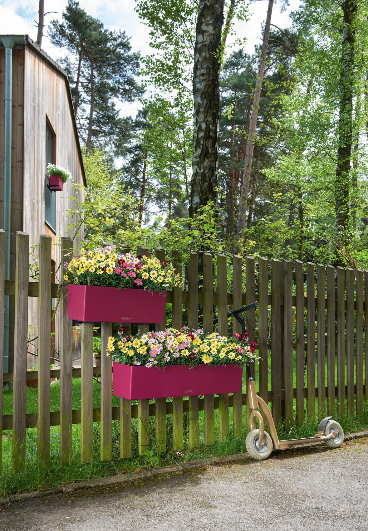 BALCONERA Color 80