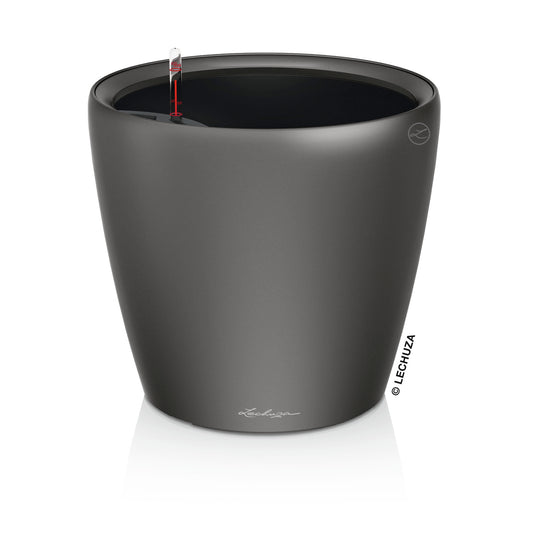 CLASSICO Premium 43