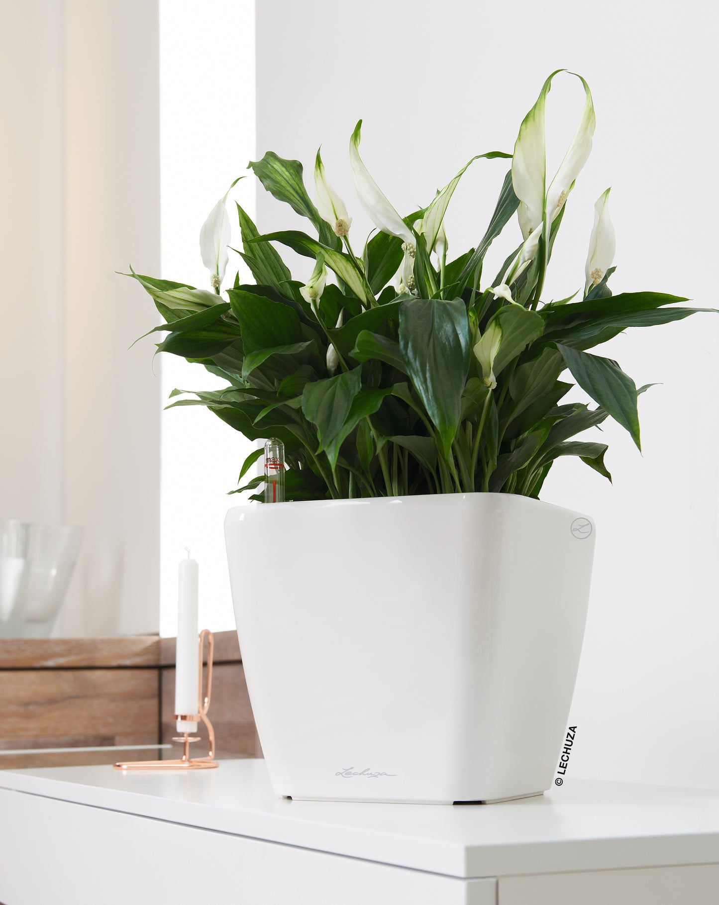 QUADRO Premium 35