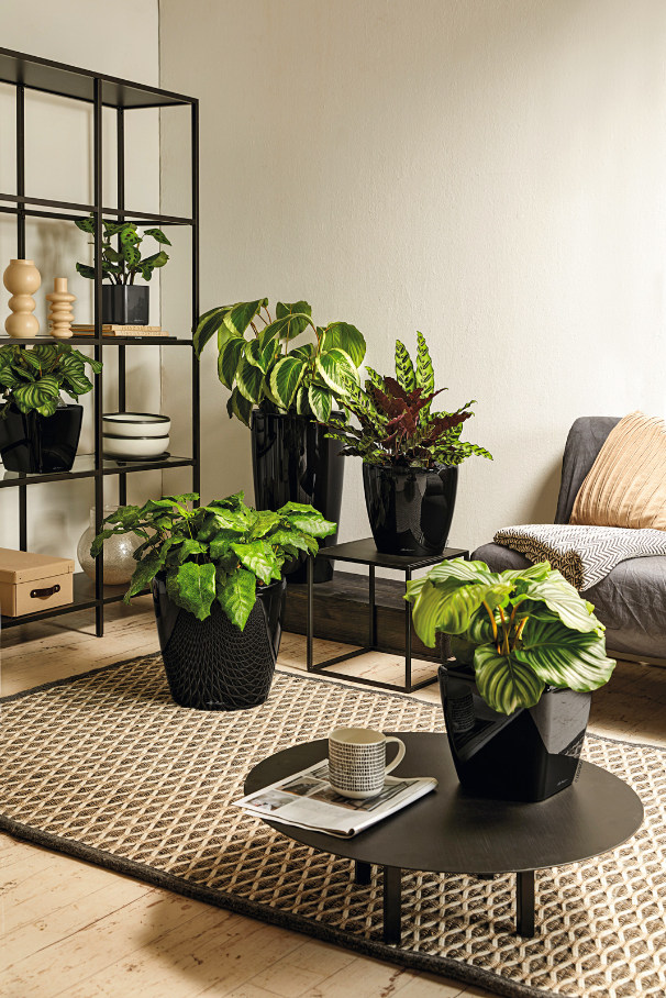 QUADRO Premium 28