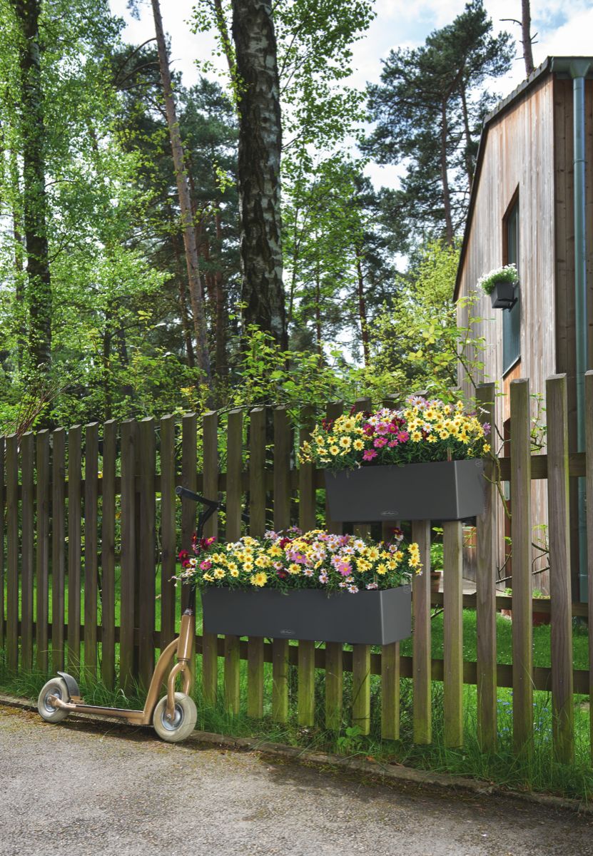 BALCONERA Color 80