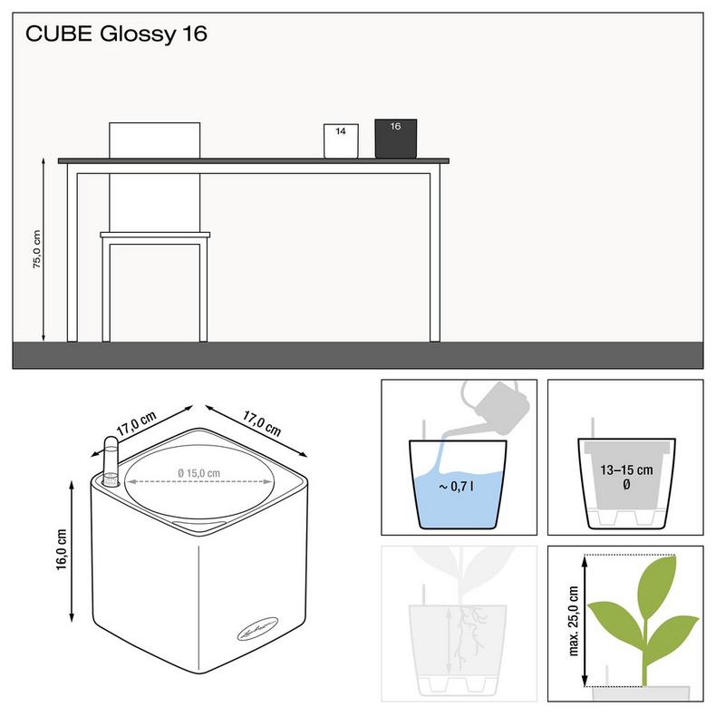 CUBE Glossy 16