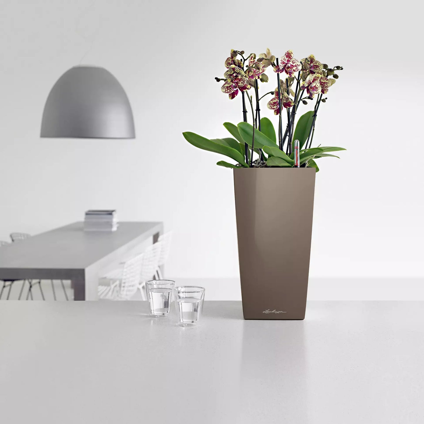 CUBICO Premium 22