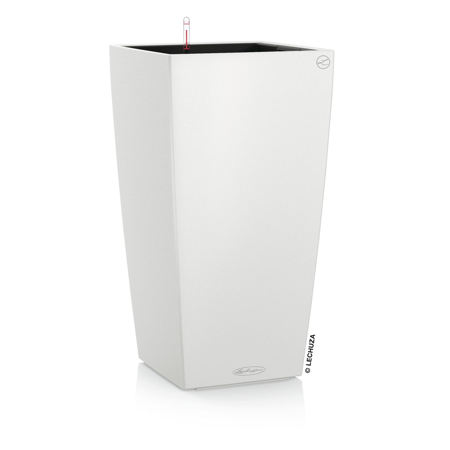 CUBICO Color 30