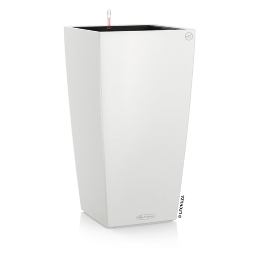 CUBICO Color 30