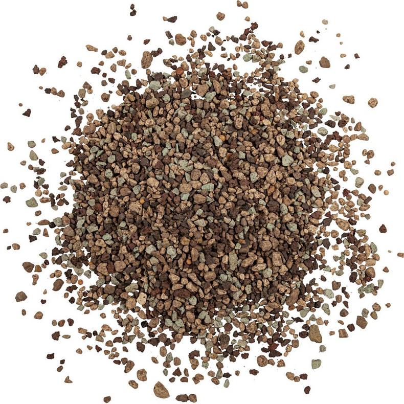 LECHUZA PON