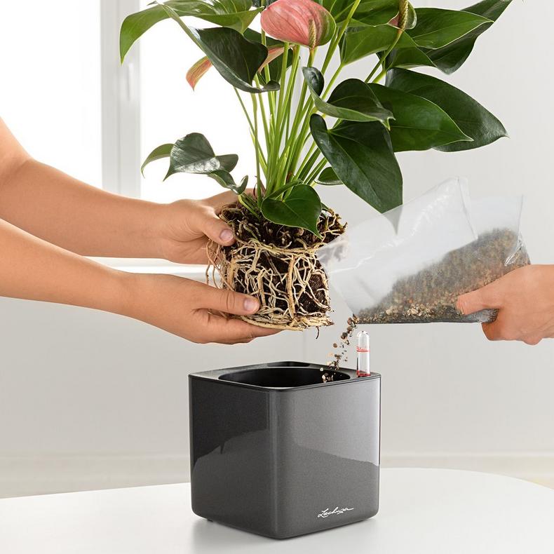 Planting Plate for stick systems