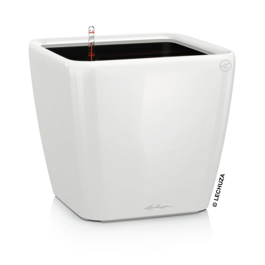 QUADRO Premium 35