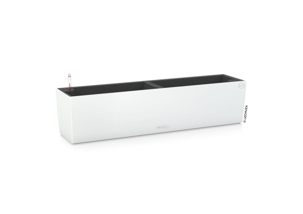 BALCONERA Color 80