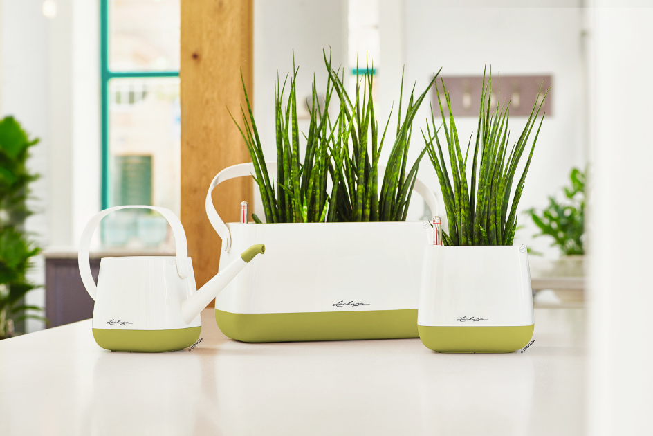 YULA plant bag