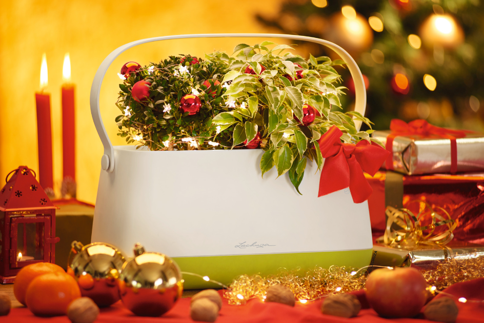 YULA plant bag