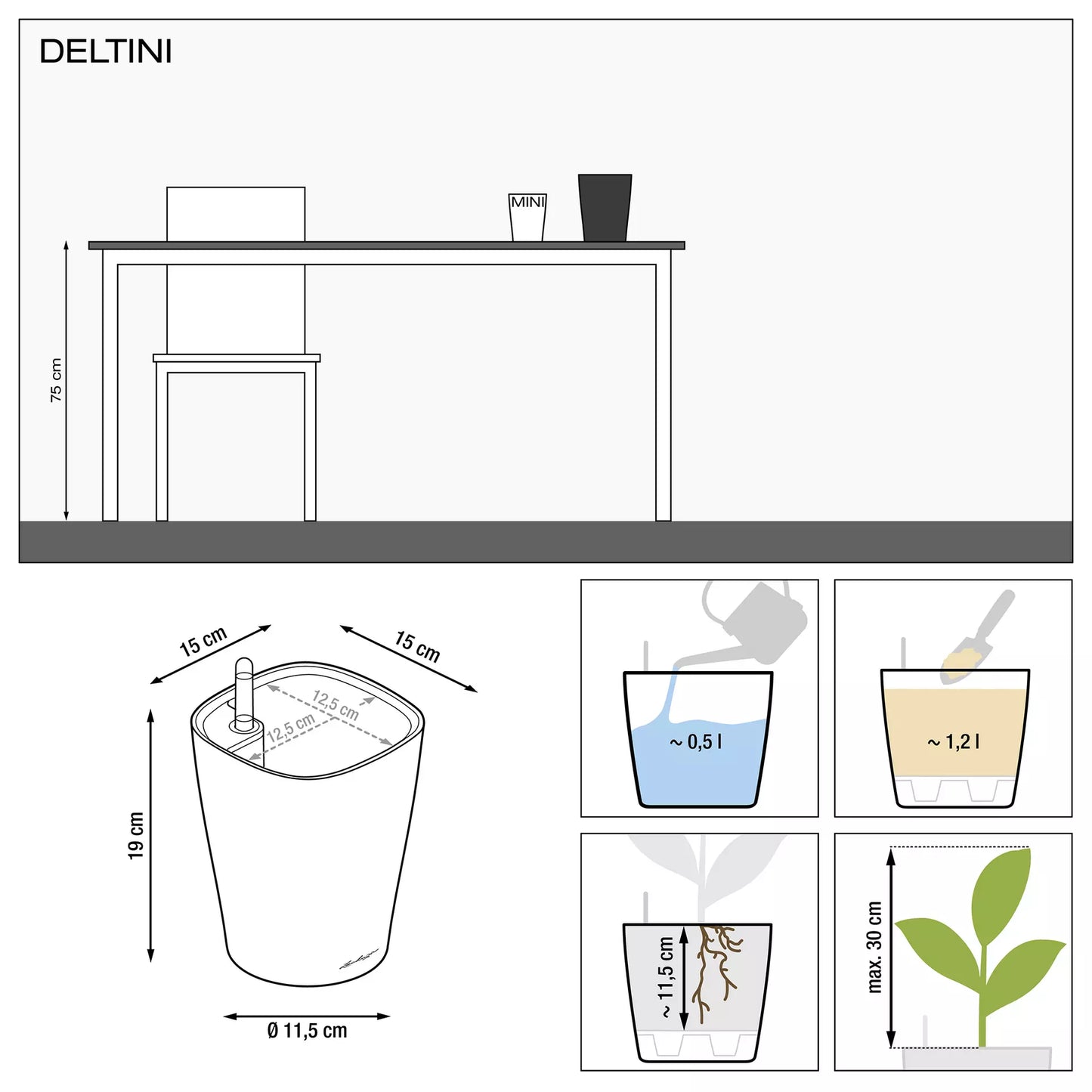 DELTINI