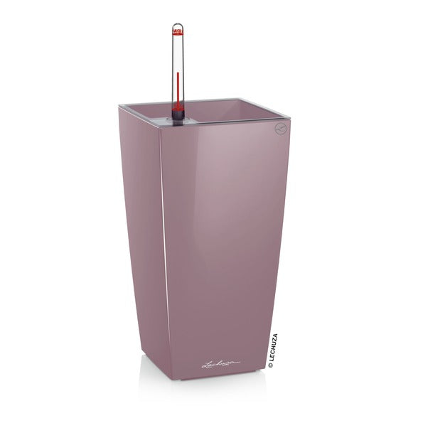 MAXI CUBI
