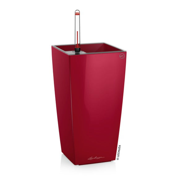 MAXI CUBI