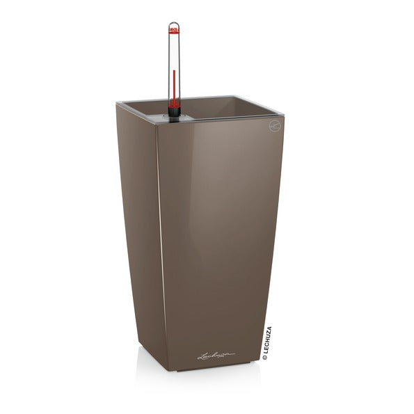 MAXI CUBI