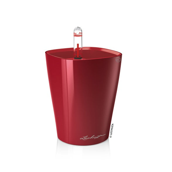 MINI DELTINI