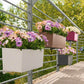 BALCONERA Color 50