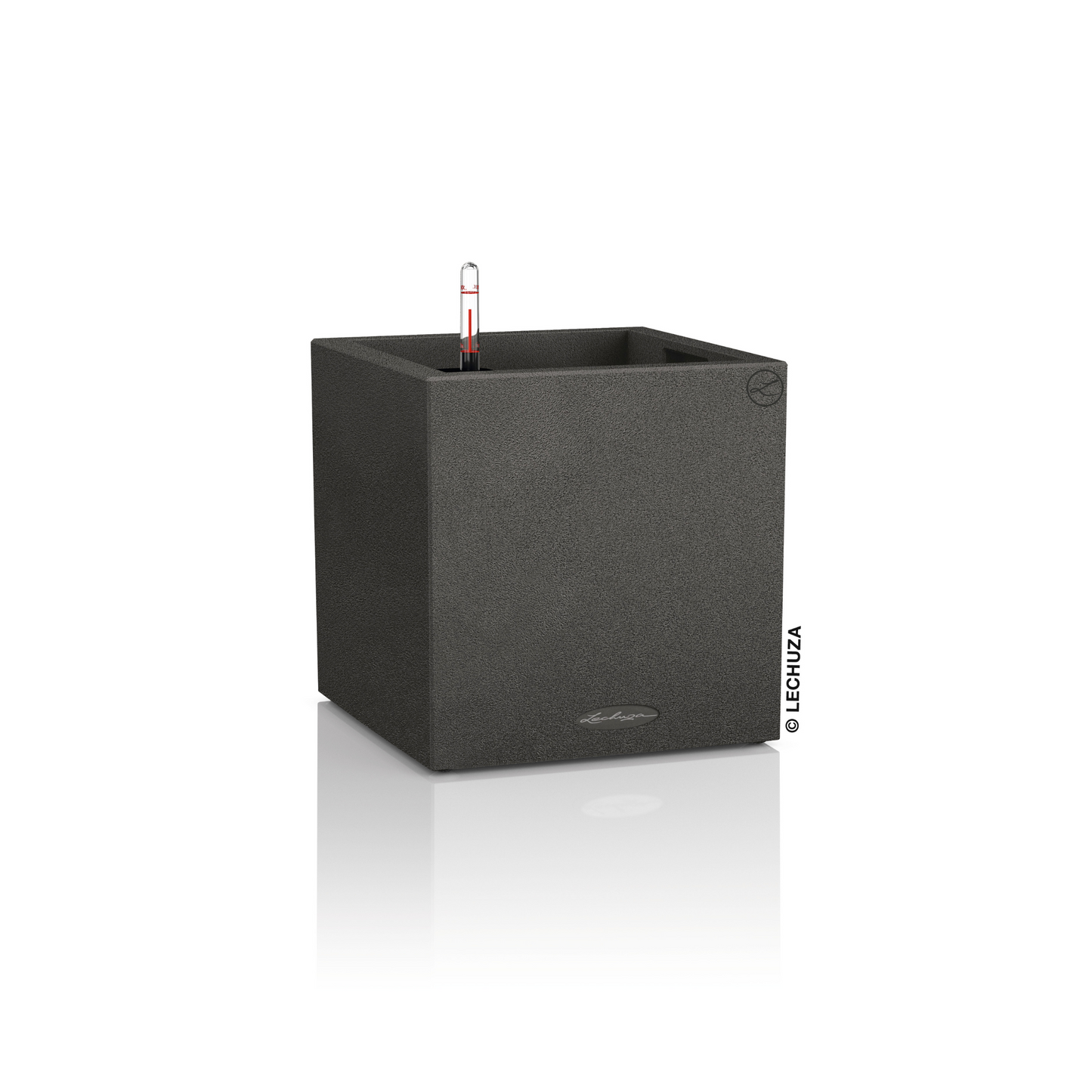 CANTO Stone 40 low