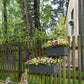 BALCONERA Color 50