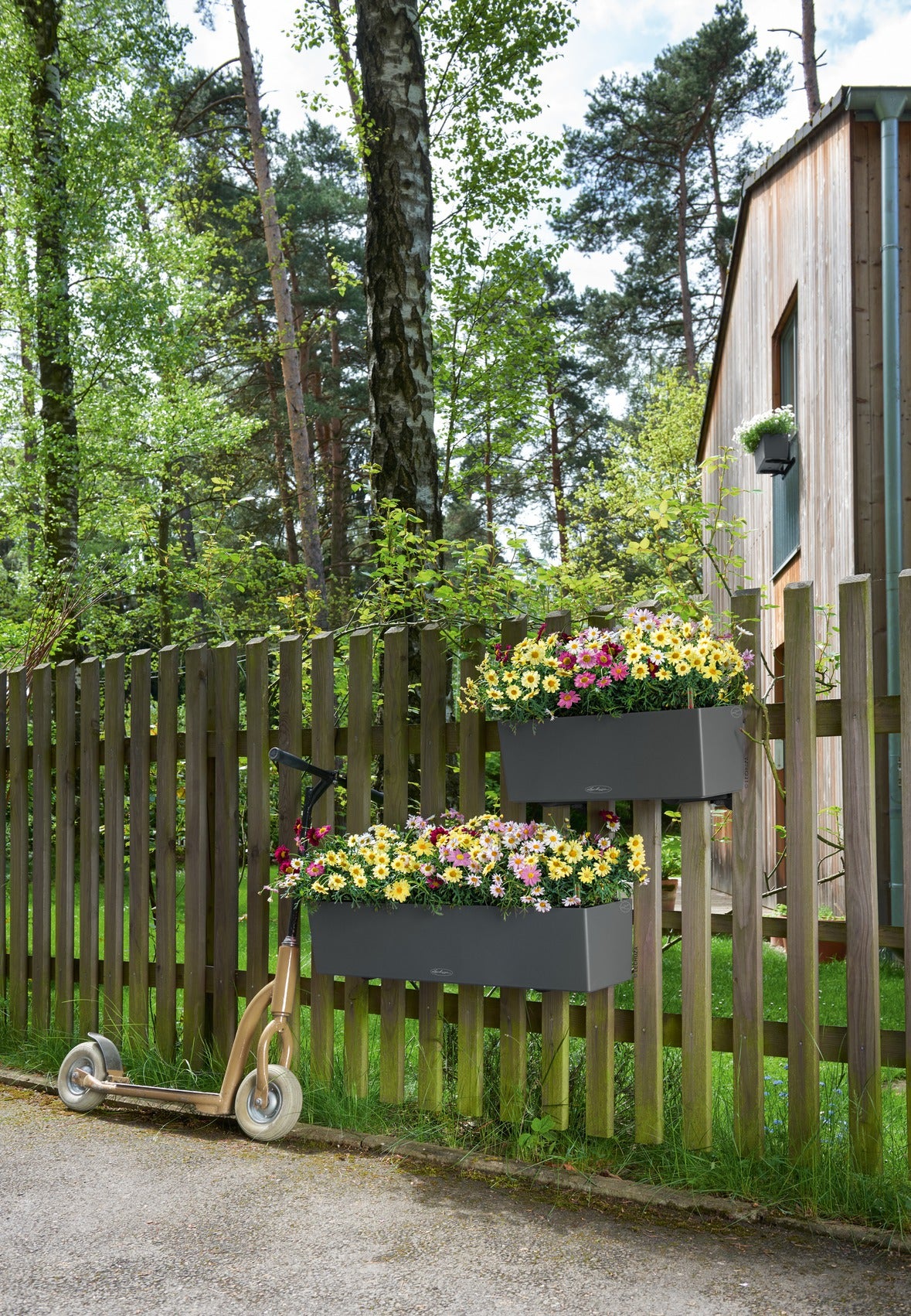 BALCONERA Color 50
