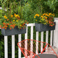 BALCONERA Color 50