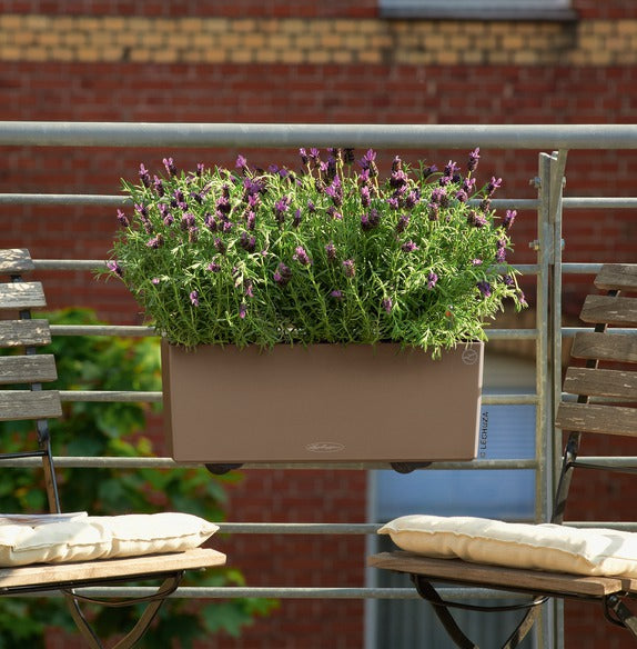 BALCONERA Color 50