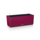 BALCONERA Color 50