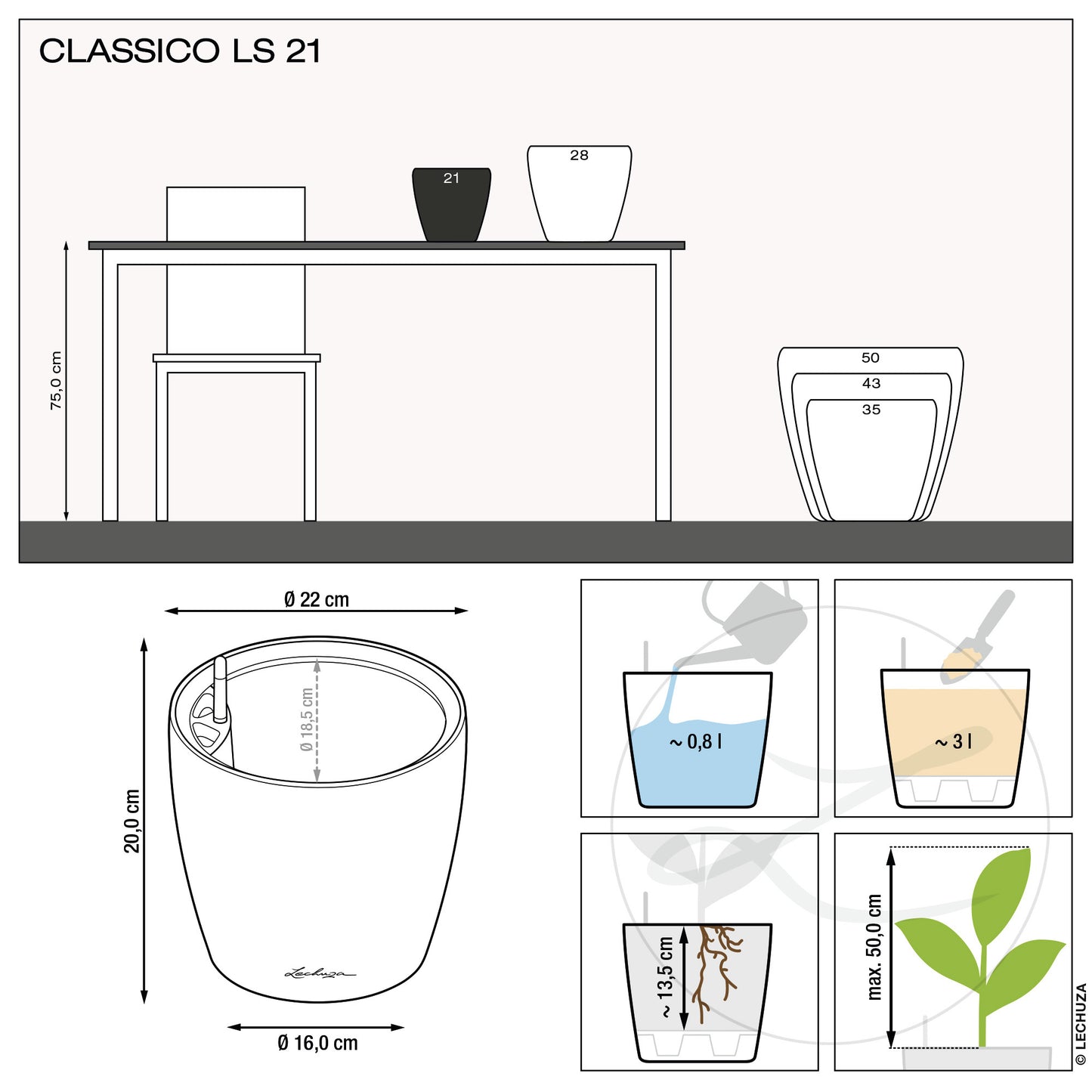 CLASSICO Premium 21
