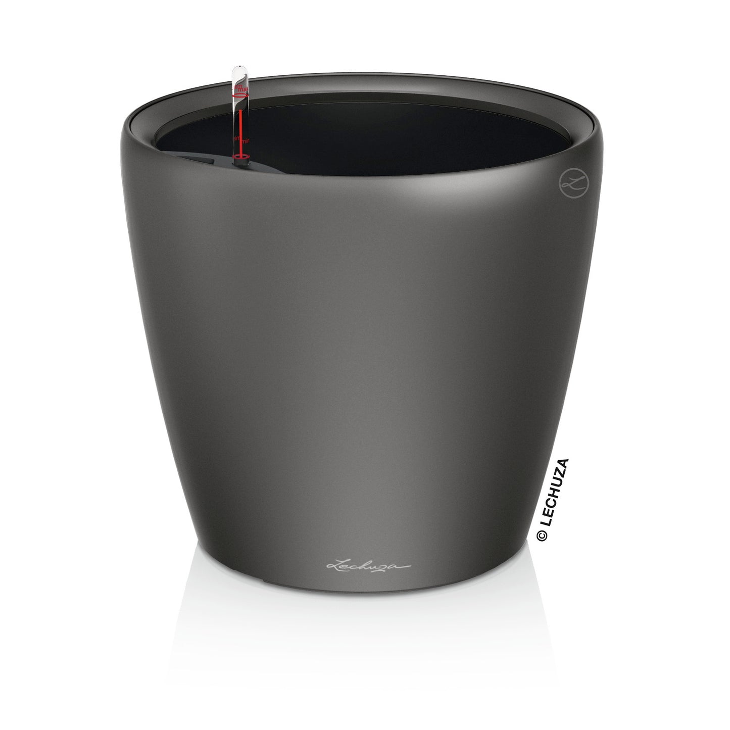 CLASSICO Premium 21