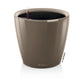CLASSICO Premium 21