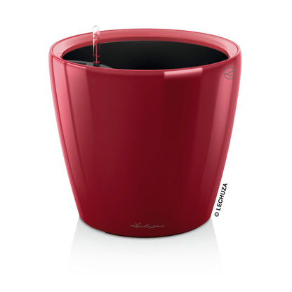 CLASSICO Premium 50
