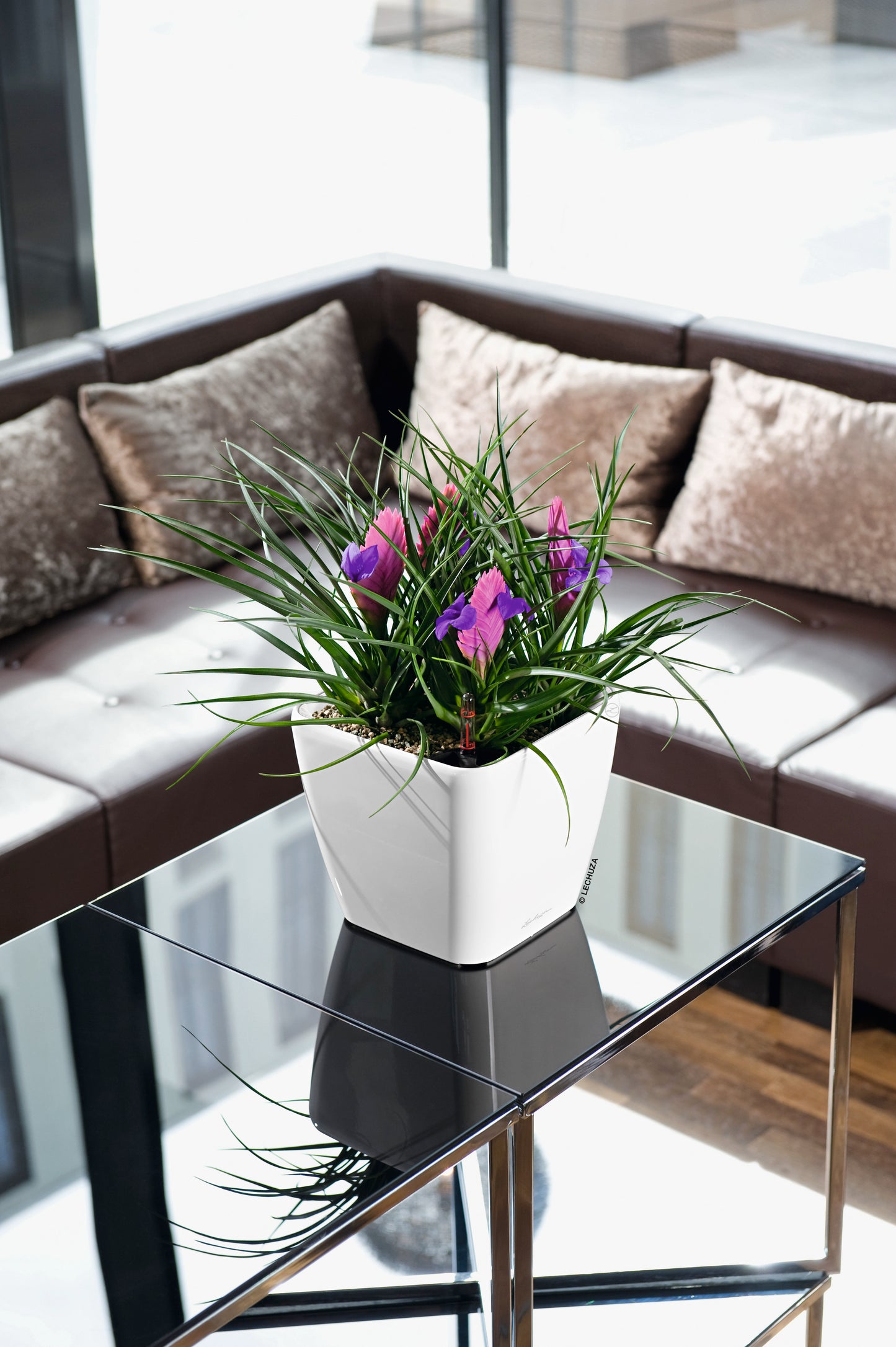 QUADRO Premium 21