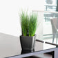 QUADRO Premium 21